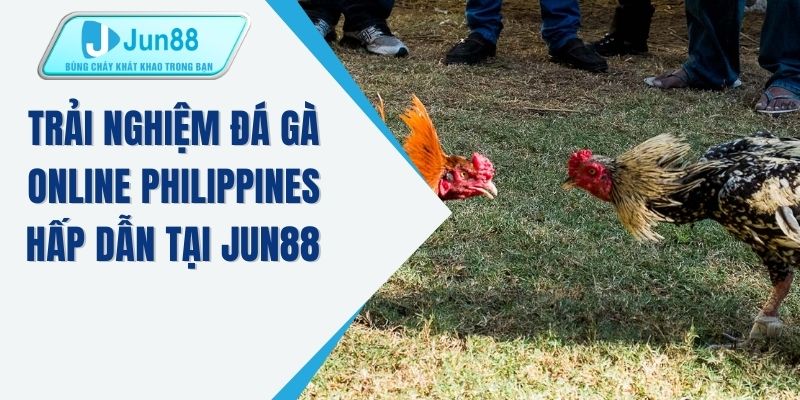 Trải nghiệm đá gà online Philippines hấp dẫn tại JUN88